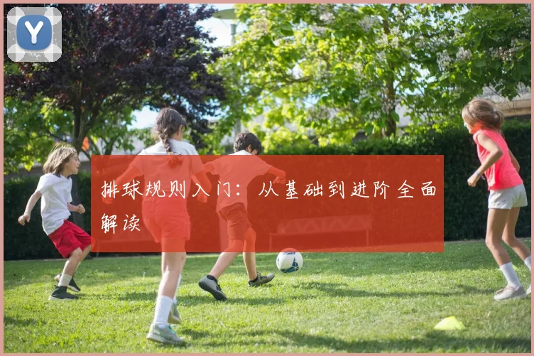 排球规则入门:从基础到进阶全面解读